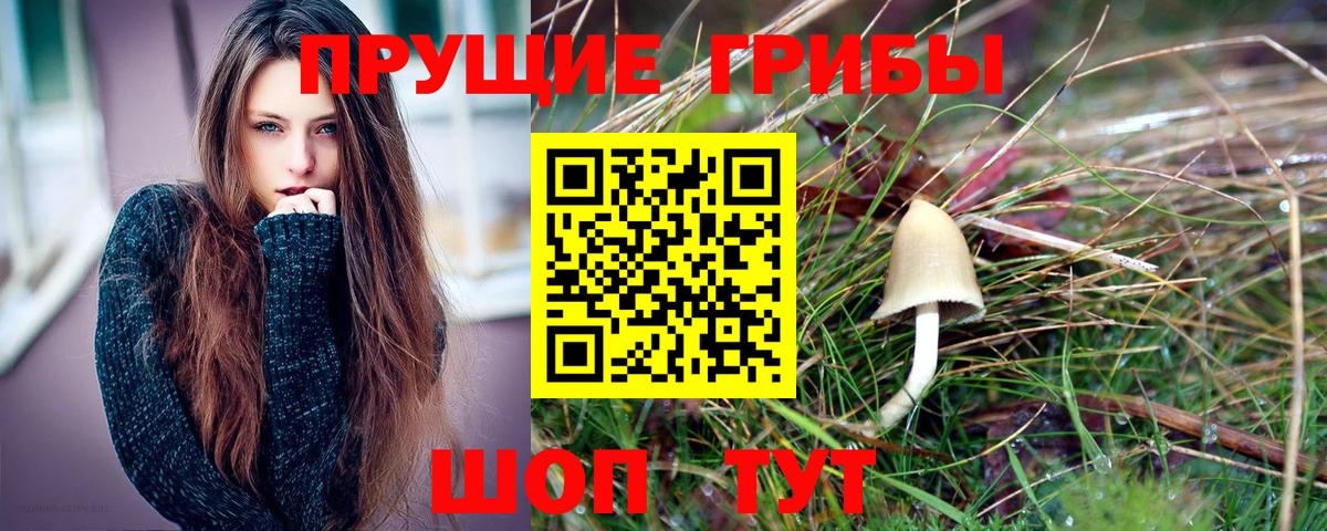 Псилоцибиновые грибы мухоморы Норильск
